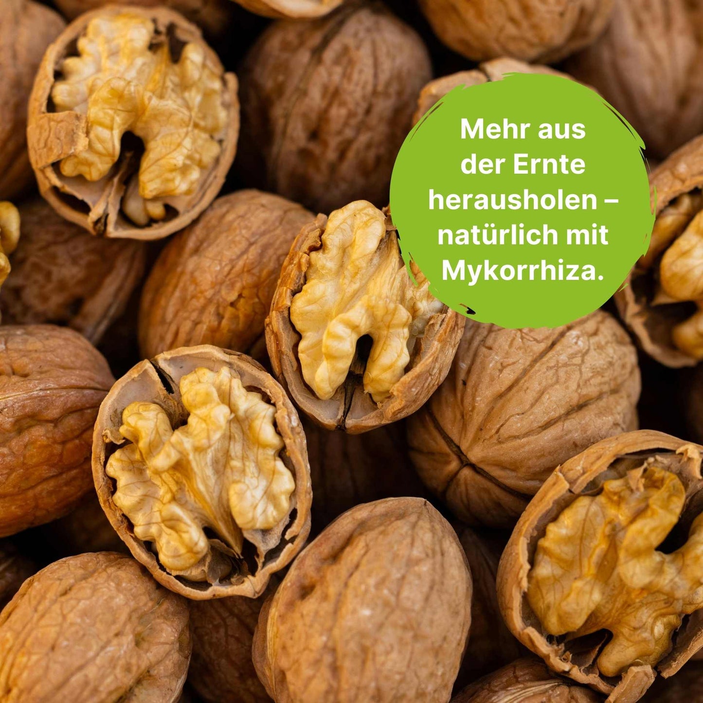 BioMyc™ Ekto Vital - Laubgehölze