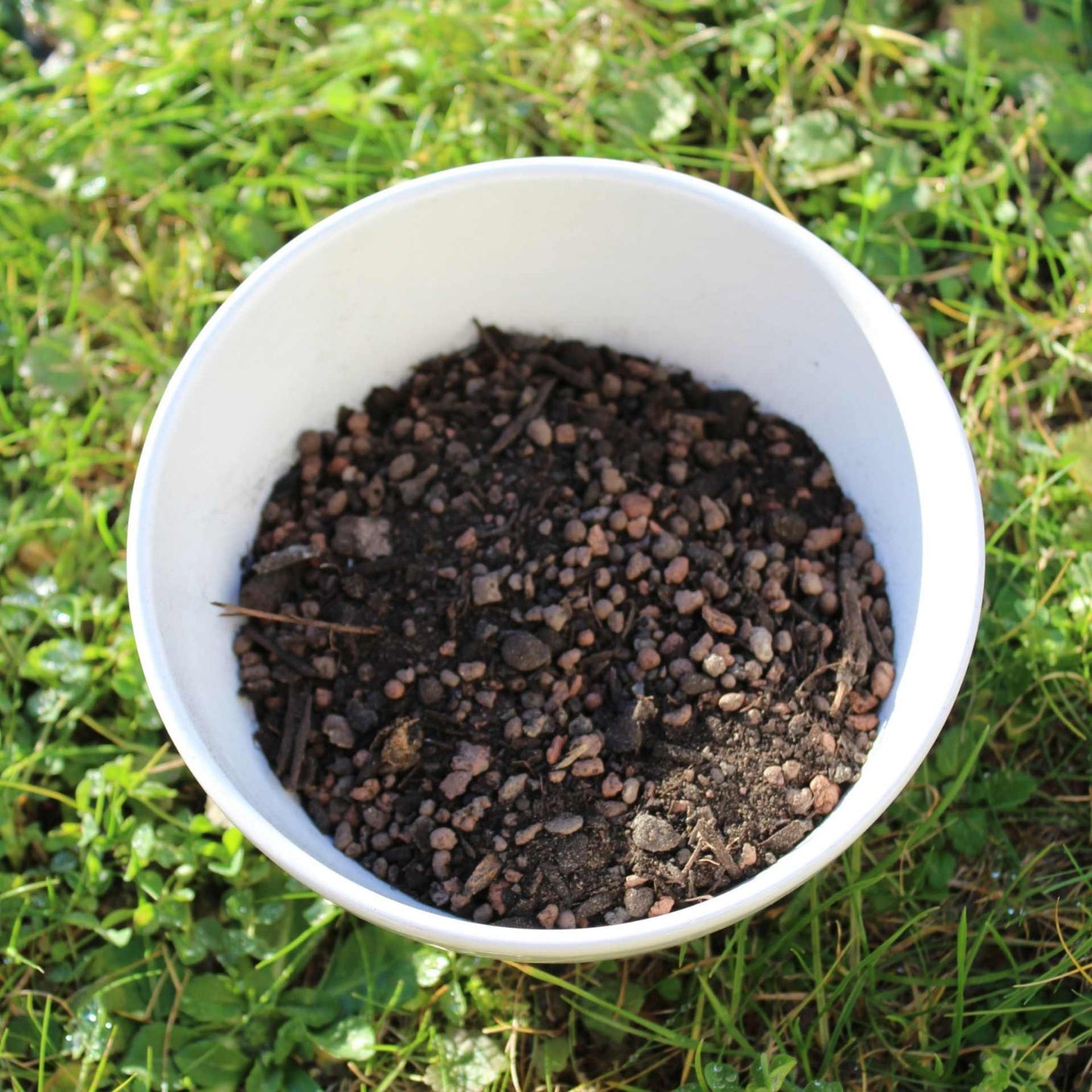 BioMyc™ Vital WURZEL BOOSTER