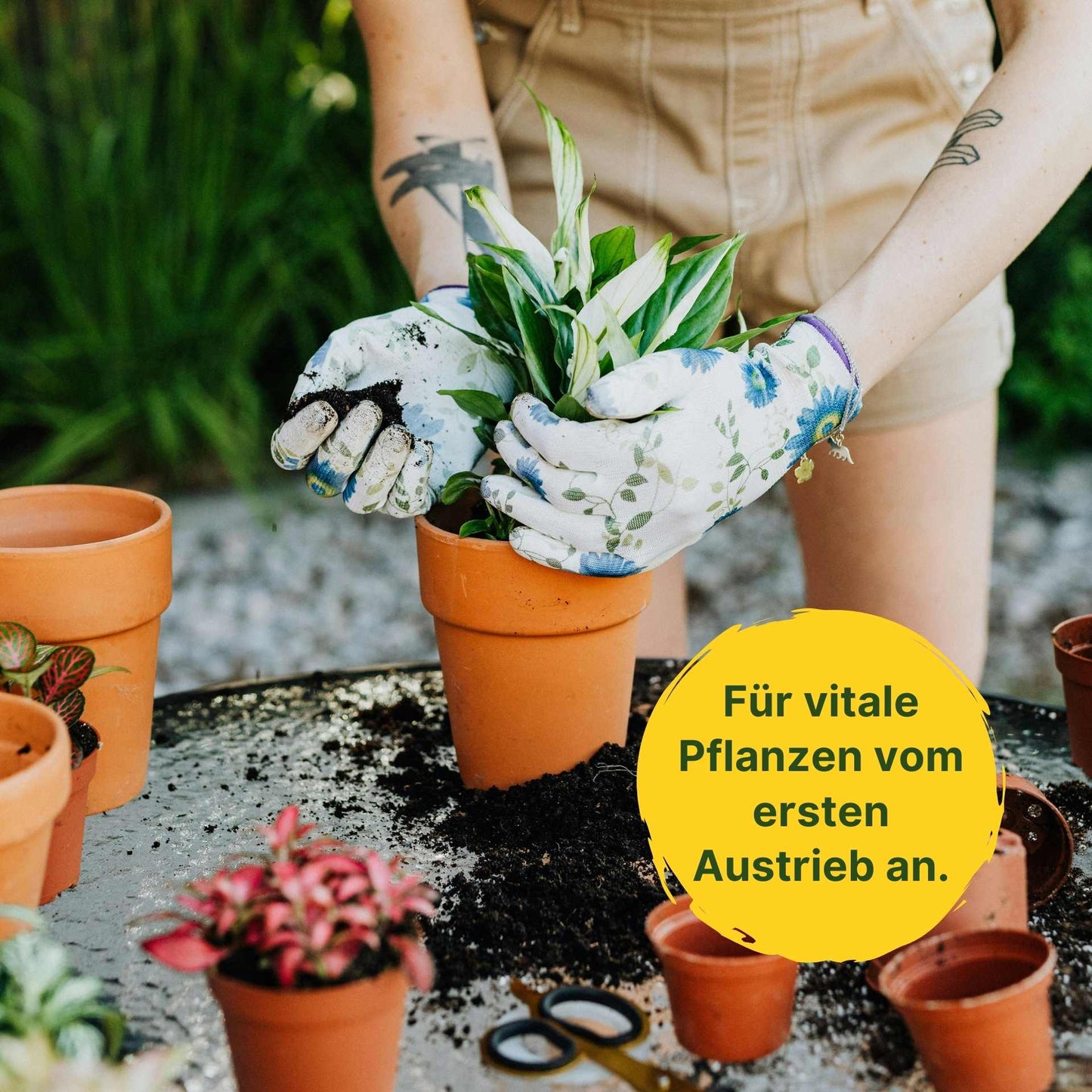 BioMyc™ Vital WURZEL BOOSTER