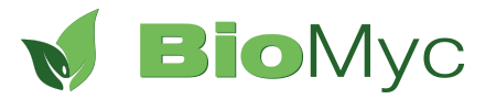 BioMyc Environment GmbH